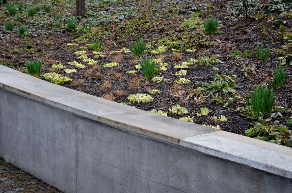 Cost of Concrete Wall Construction in Des Moines