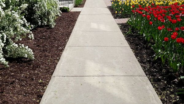 Cost of Sidewalk Slab Replacement in Des Moines
